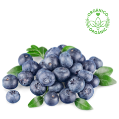 ORGANIC BLUEBERRIES DOME