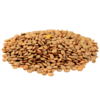 LENTIL 1 KG