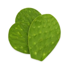 CLEANED NOPAL CACTUS KG