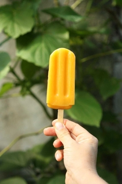 PALETANA VEGAN POPSICLES VARIETY OF FLAVORS - buy online