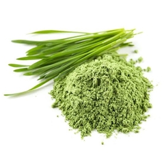 WHEATGRASS POWDER