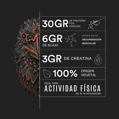 FALCON PERFORMANCE GOLDEN VAINIL - BIRDMAN - online store