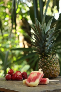 PALETANA VEGAN POPSICLES VARIETY OF FLAVORS - online store