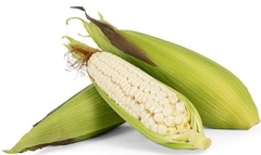 ELOTE ORGÁNICO