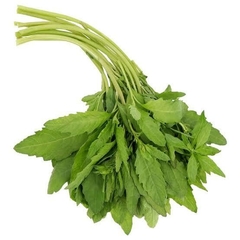 EPAZOTE MANOJO
