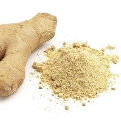 POWDERED GINGER IN BULK