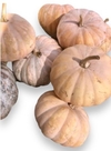 LOCAL ORGANIC CASTILE PUMPKIN