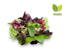 ORGANIC GREENS MIX BUNCH