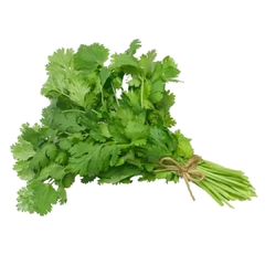 CILANTRO ORGÁNICO KG