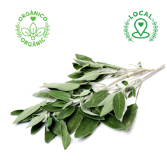 SALVIA ORGÁNICA MANOJO