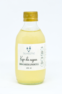 KÉFIR DE AGUA SILVESTRE VARIOS SABORES