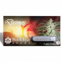 Buddha Deimos Auto en internet