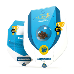 EUPHORIA CBD X3-ROYAL QUEEN SEEDS