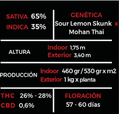 LEMON RAM - SILVER RIVER SEEDS en internet