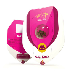 OG KUSH X3-ROYAL QUEEN SEEDS
