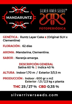 MANDARUNTZ-SILVER RIVER SEEDS X5 - comprar online