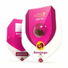 SOMANGO XL X3-ROYAL QUEEN SEEDS