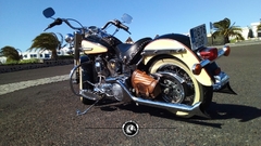 Alforja TS Harley - comprar online