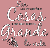 SON LAS PEQUELAS COSAS - CM038