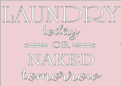 LAUNDRY TODAY - G0036