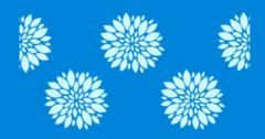 MANDALA FLOR - SC157