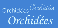 ORCHIDEES - SC197