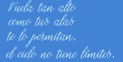 VUELA TAN ALTO - SC312