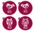BUHO PAJAROS - SET024