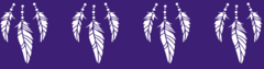 PLUMAS - SGP084