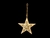 COLGANTE ESTRELLA GRANDE '502148'
