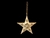 COLGANTE ESTRELLA XL '502148'