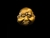 CABEZA BUDA 4 CARAS - comprar online