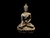 BUDA 21CM