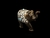ELEFANTE MADERA GRANDE - comprar online