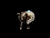 ELEFANTE MADERA MEDIANO