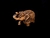 ELEFANTE '1822B'