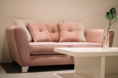 DELFINA - comprar online