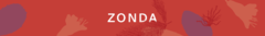 Banner de la categoría ZONDA