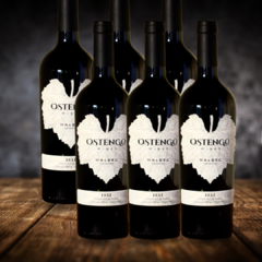 Malbec Reserva - Cafayate 750 ML x 6 Un.