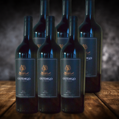 Malbec 2022 - Cafayate 750 ML x 6 Un.