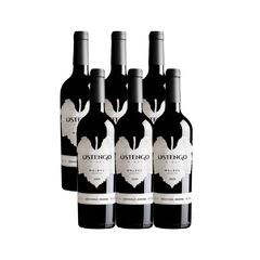 Malbec Reserva 2019 - Cafayate x 6Un.