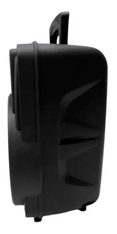 PARLANTE ORYX 8" POWER SOUND PRO CON MICROFONO en internet