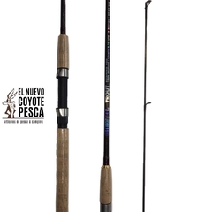 OMOTO TROUT