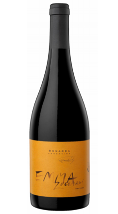 Emma Zuccardi 2019