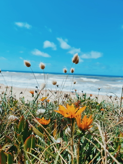 junio en el mar