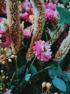 flores para el corazón VI