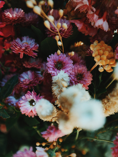 flores para el corazón II