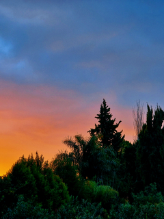 antes de la noche