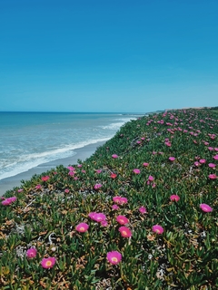 octubre en el mar