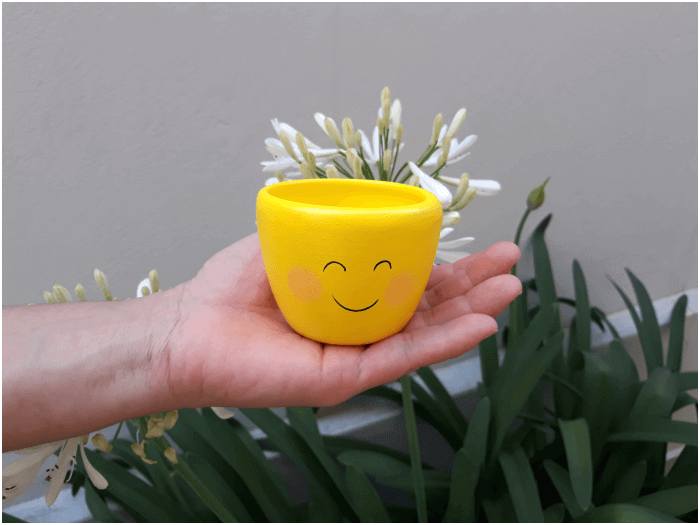 Vaso Emoji para Suculentas e Cactos